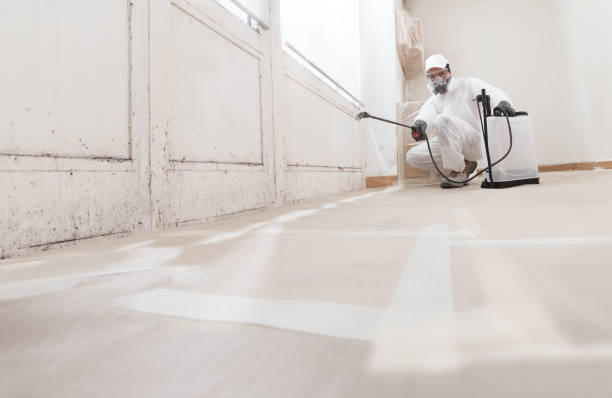 24/7 Emergency Commercial Mold Remediation experts in Clinton, PA